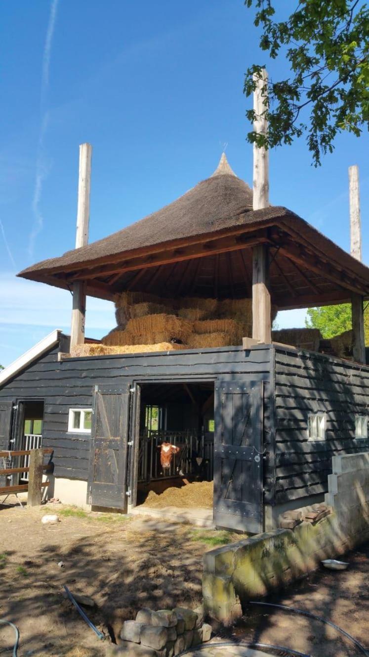Landgoed Groot Boerle Bed & Breakfast Wijhe Exterior foto